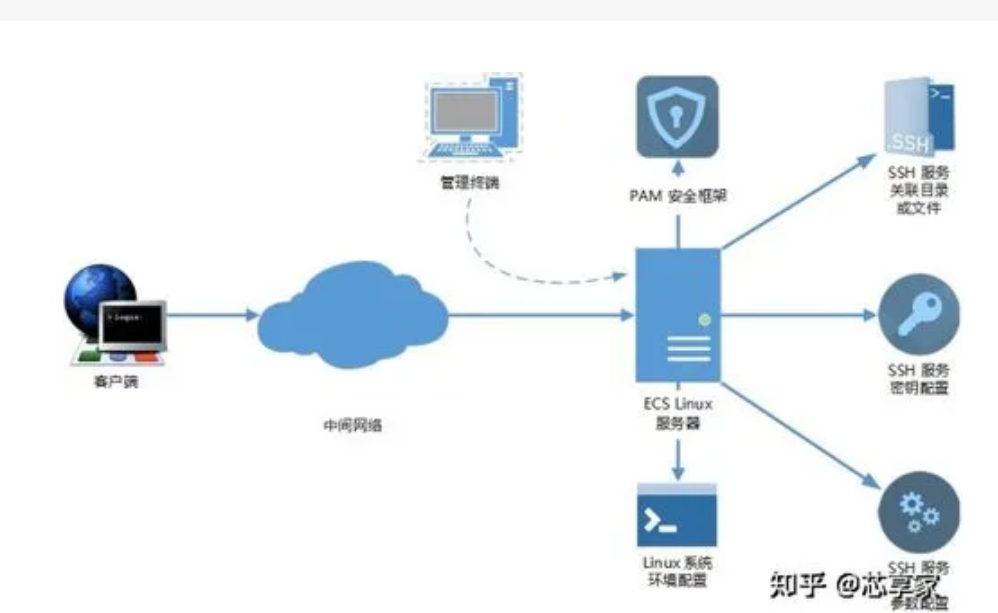 云服务器宽带如何选择,多少宽带适合做网站
