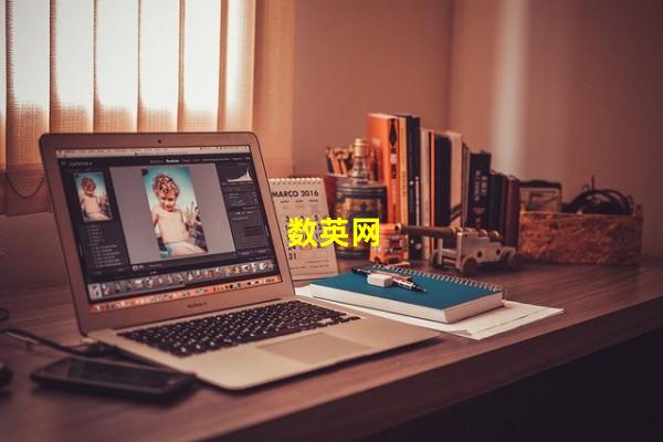 数英网_(数英网文案网站,梅花网)